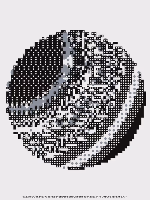 Item #241000006 Media