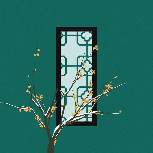 Through the Window #148