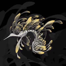 Seadragons #833