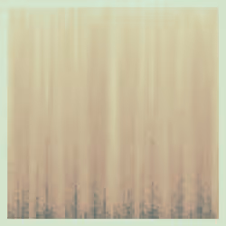 High Tide #273