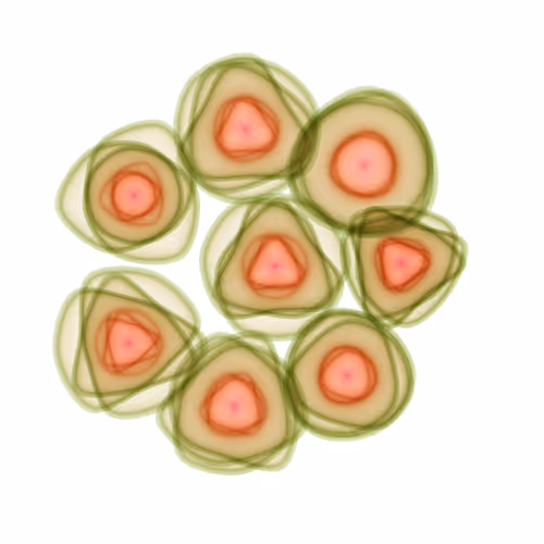 Flowers #6139