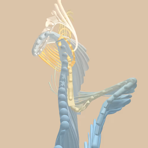 Item #268000193 Media