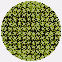 Ouroboros #576