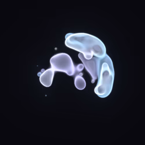 Item #62000021 Media