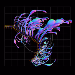 Seadragons #707