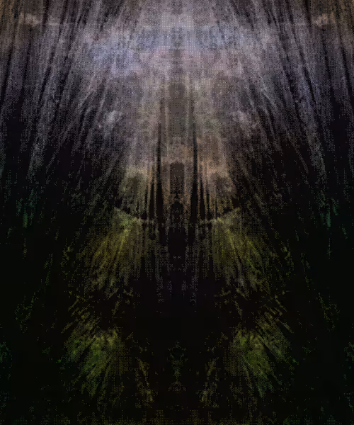 Item #317000275 Media