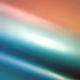 296000273