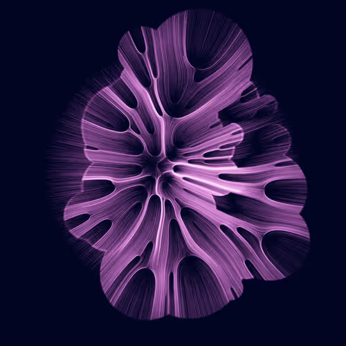 Gravity 16 By Jimmy Herdberg