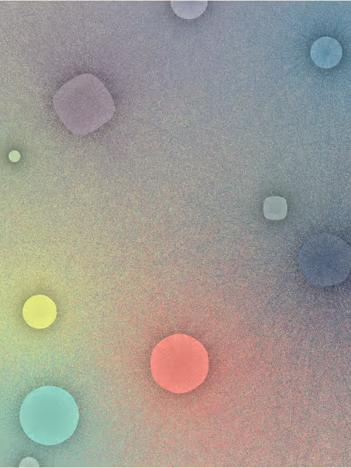 Item #256000447 Media