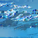 232000102