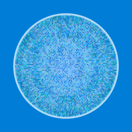Transitions #2329