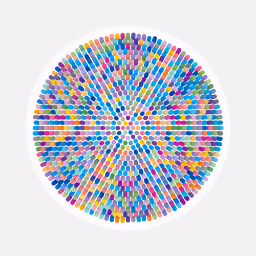 Transitions By Jason Ting X Matt Bilfield