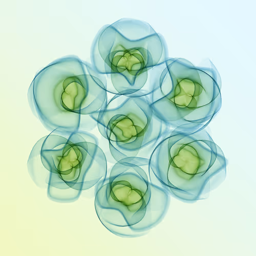 Flowers #364