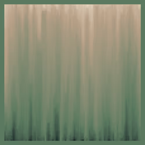 High Tide #408