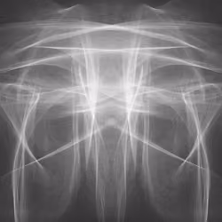 Synapses #488
