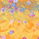 Fragments of an Infinite Field #181