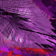 169000454
