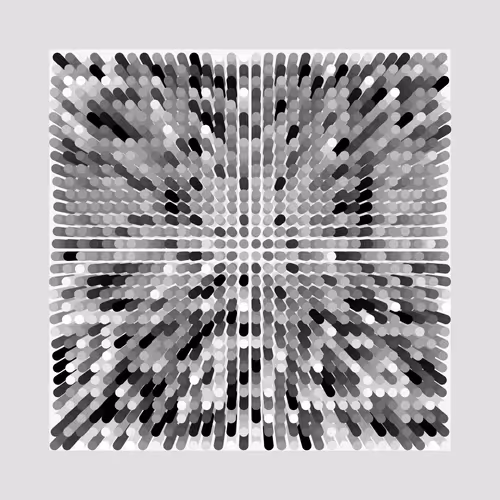 Transitions By Jason Ting X Matt Bilfield