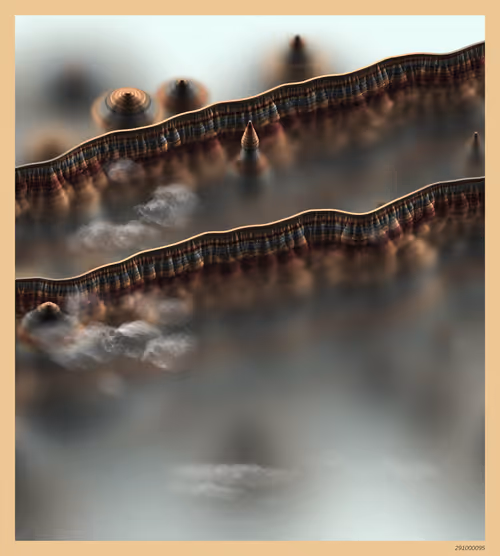 Item #291000095 Media