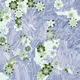 Fragments of an Infinite Field #868