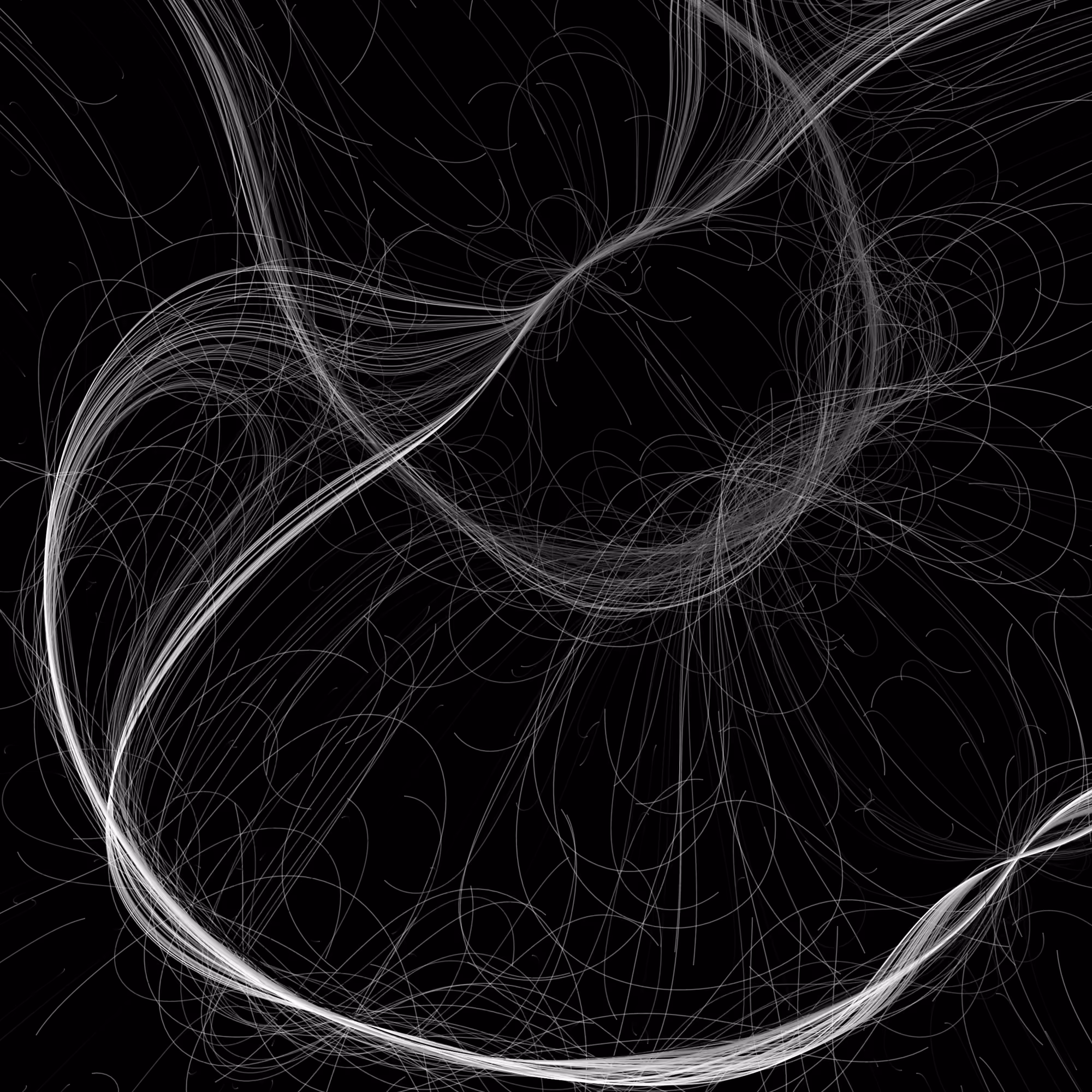 Phototaxis #226