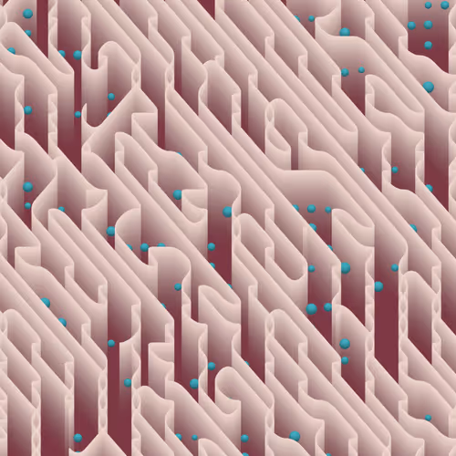 Tropism By Neel Shivdasani