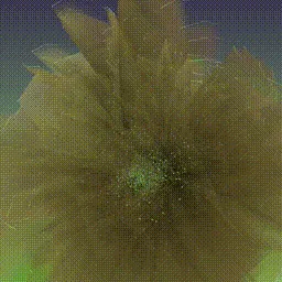 Item #279000105 Media