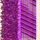 365000196