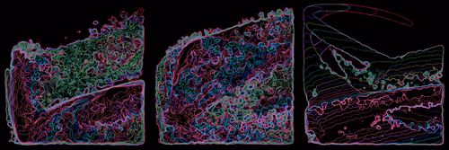 Item #302000275 Media