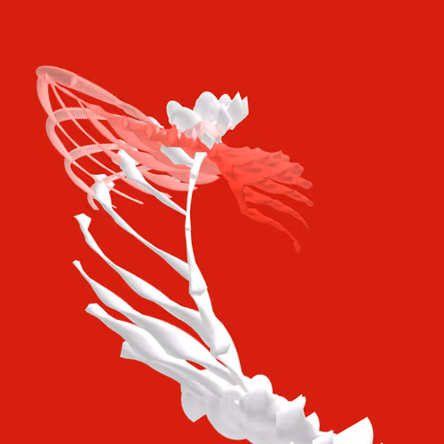 Item #268000137 Media