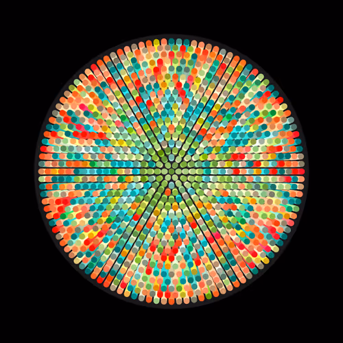 Transitions By Jason Ting X Matt Bilfield