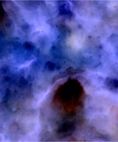 Item #129000793 Media