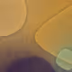 256000282
