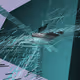 Augmented Sequence #800