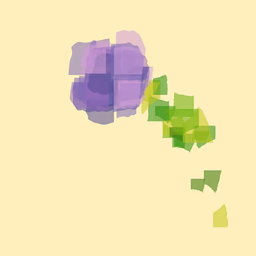 Bloom #206