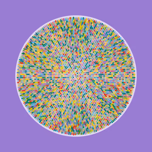 Transitions #346
