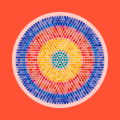 Transitions By Jason Ting X Matt Bilfield