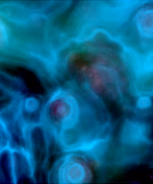 Item #129000004 Media