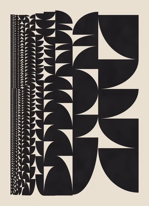 Item #351000144 Media