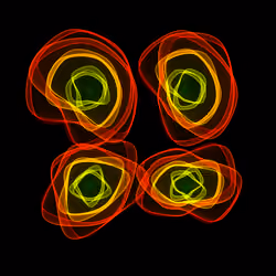 Flowers #1805