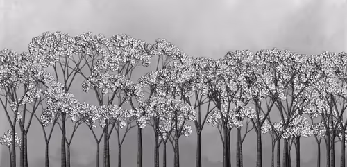 Item #254000062 Media