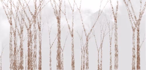 Item #254000068 Media