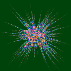 Star Flower #346