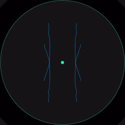 Petri #70
