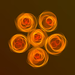 Flowers #4533
