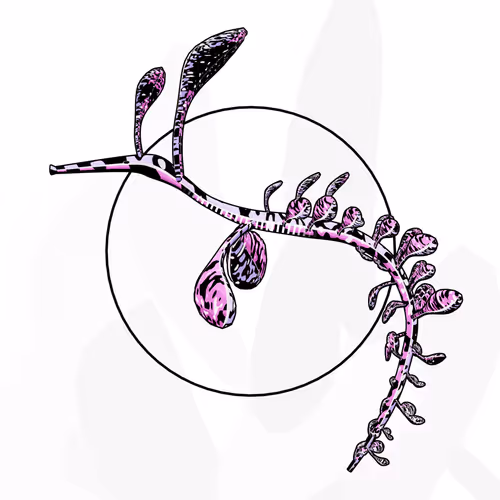 Item #160000821 Media