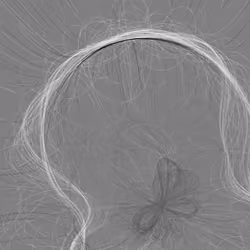 Phototaxis #517