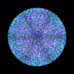 Transitions #1337
