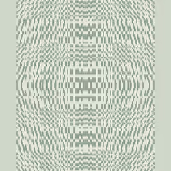 Warp #429
