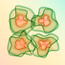Flowers #722